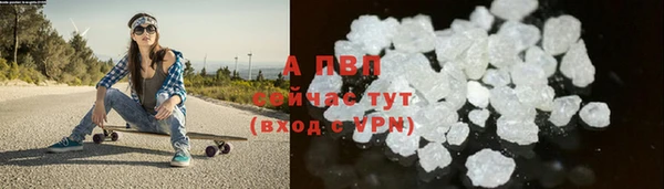 винт Абаза