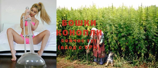винт Абаза