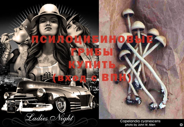 дурь Абинск