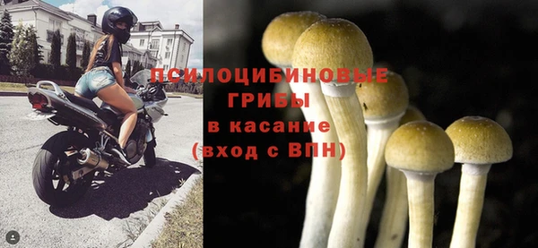 дурь Абинск