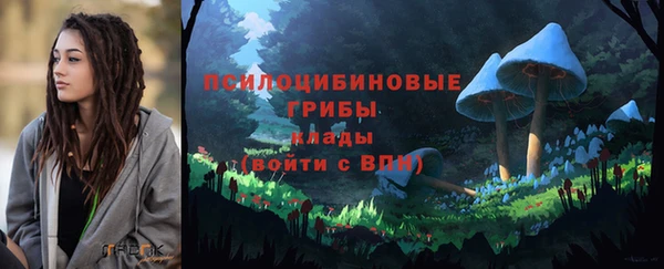 дурь Абинск