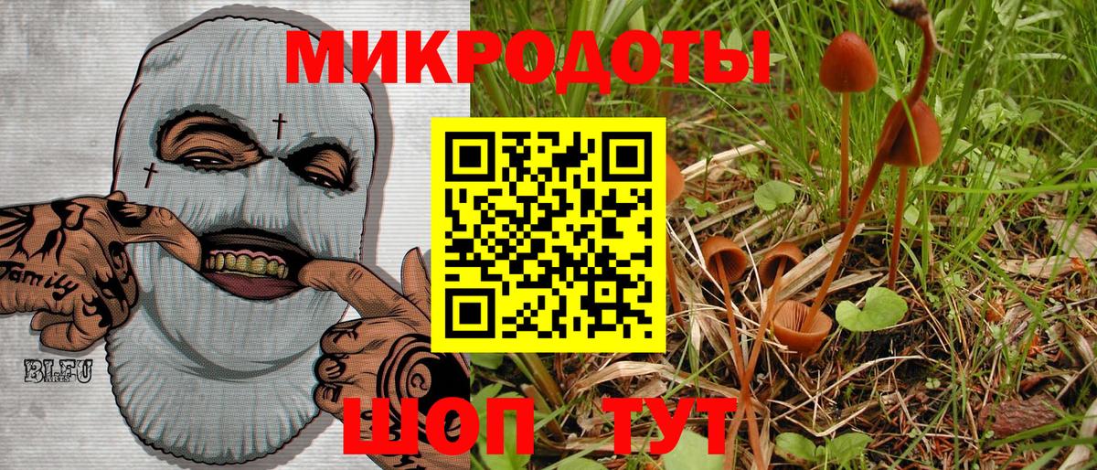 Псилоцибиновые грибы GOLDEN TEACHER  Псилоцибиновые грибы ЛСД  Назрань  Вход с VPN 