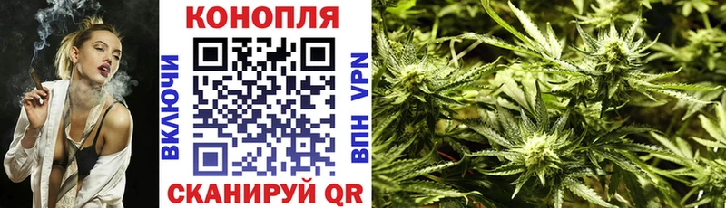 Конопля Ganja  Назрань 