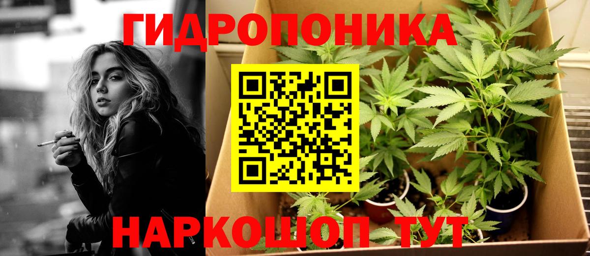 Бошки Шишки ГИДРОПОН Назрань